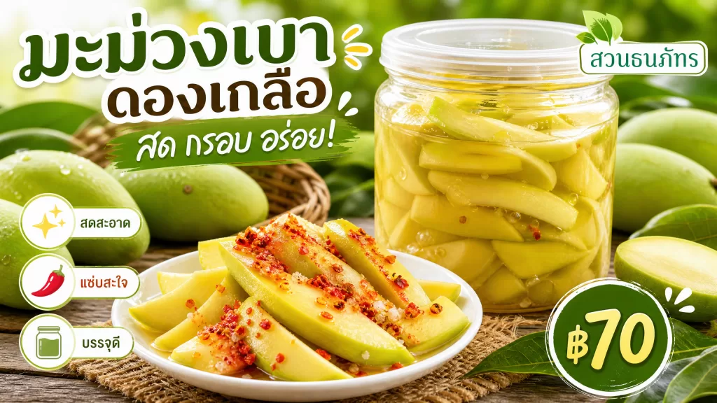 รีวิว มะม่วงเบาดองเกลือ สวนธนภัทร: สด กรอบ เปรี้ยวอมหวาน แซ่บถึงใจ! ราคา ฿70