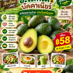 🥑💚 อะโวคาโด้ราคาสุดคุ้ม! อร่อยทานง่าย ประโยชน์เยอะ